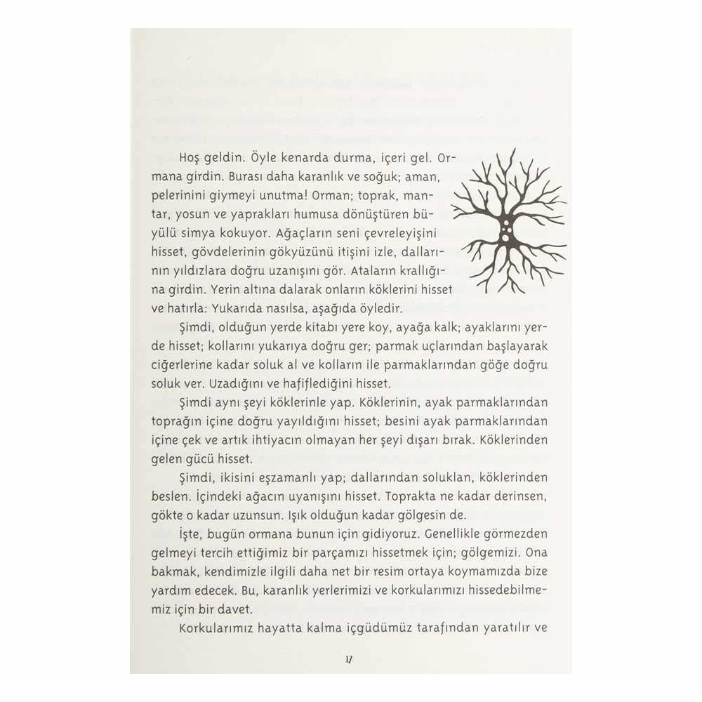 Masallarla Yola Çık Çocuk Kitapları Uzmanı - Children's Books Expert