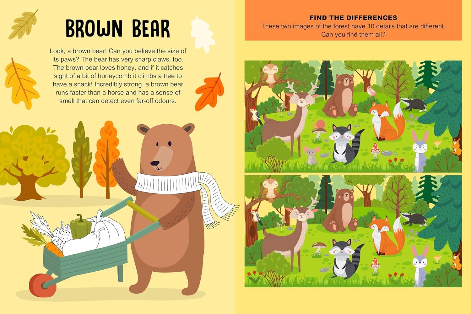 Mega Box Arts & Crafts - Magic Forest Çocuk Kitapları Uzmanı - Children's Books Expert