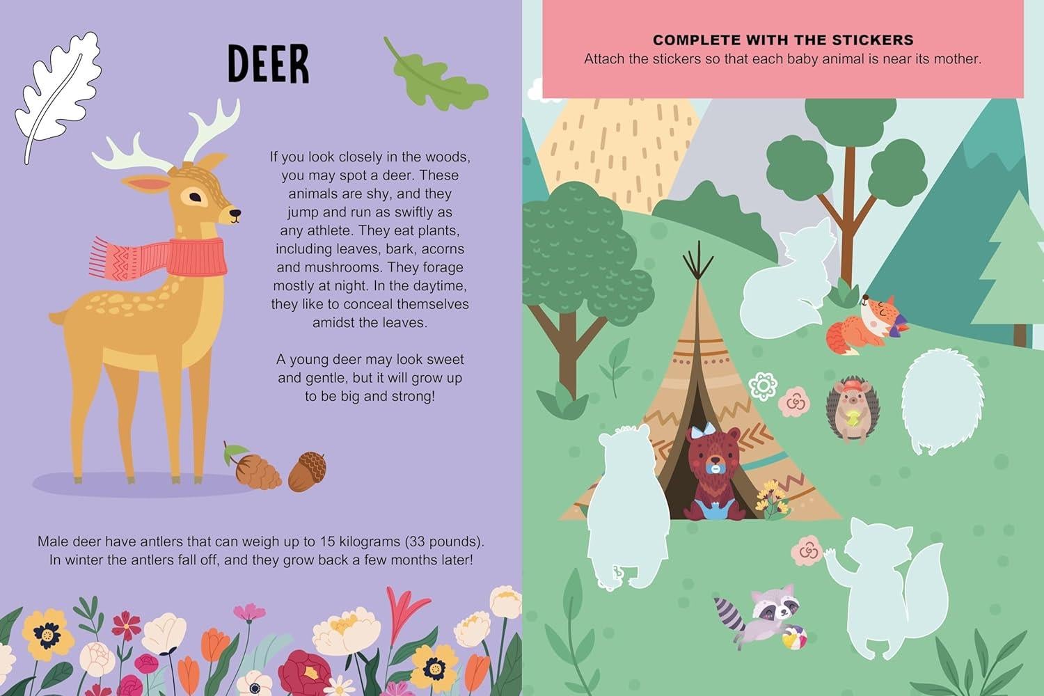 Mega Box Arts & Crafts - Magic Forest Çocuk Kitapları Uzmanı - Children's Books Expert
