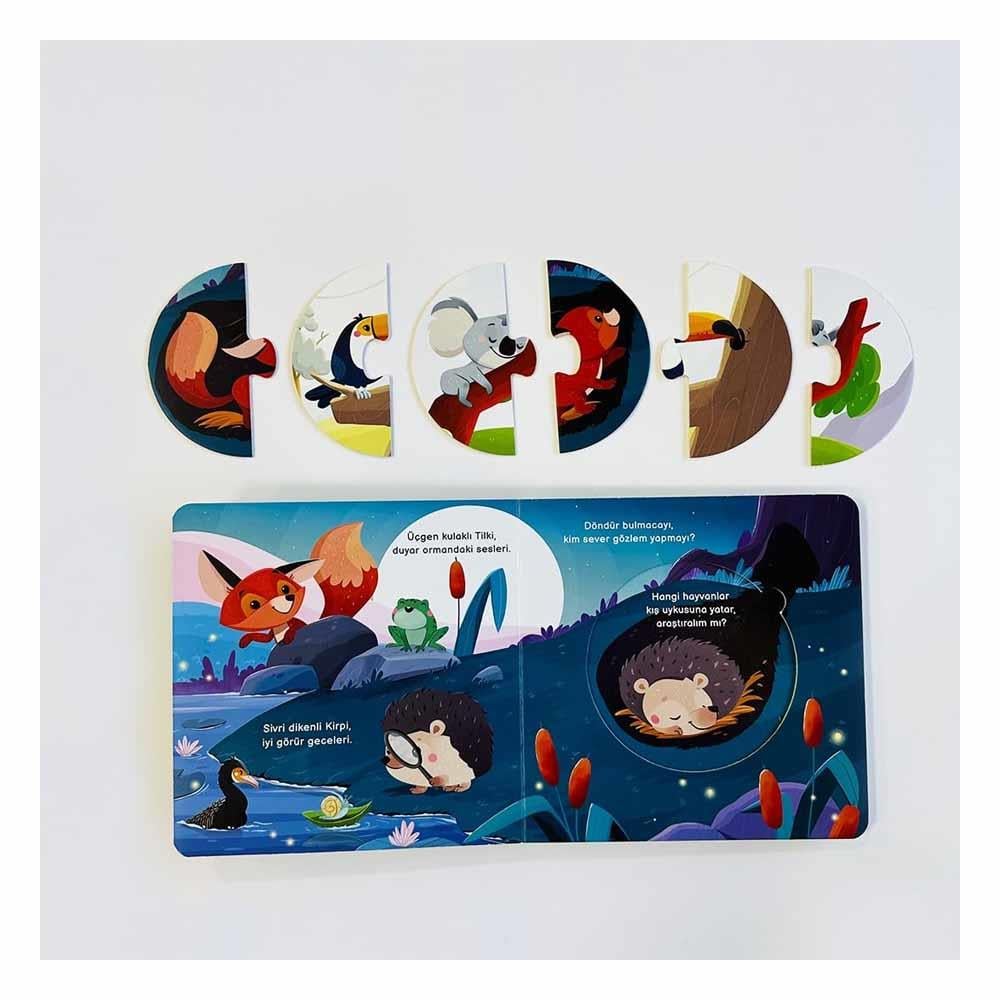Merakımdan Soruyorum - Orman Çocuk Kitapları Uzmanı - Children's Books Expert