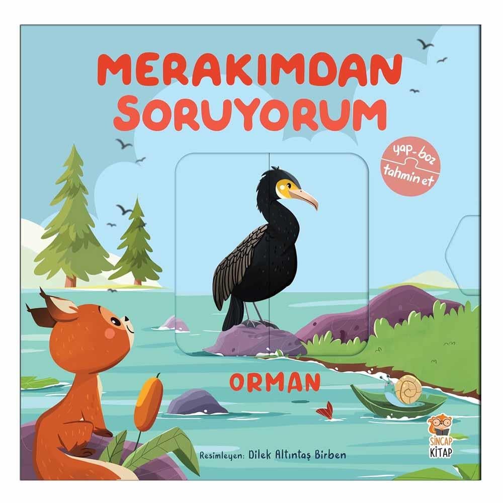 Merakımdan Soruyorum - Orman Çocuk Kitapları Uzmanı - Children's Books Expert