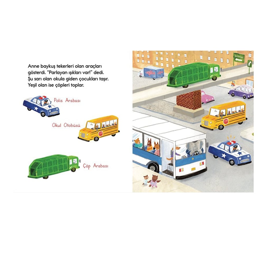 MERAKLI BAYKUŞ TAŞITLARI ÖĞRENİYOR Çocuk Kitapları Uzmanı - Children's Books Expert