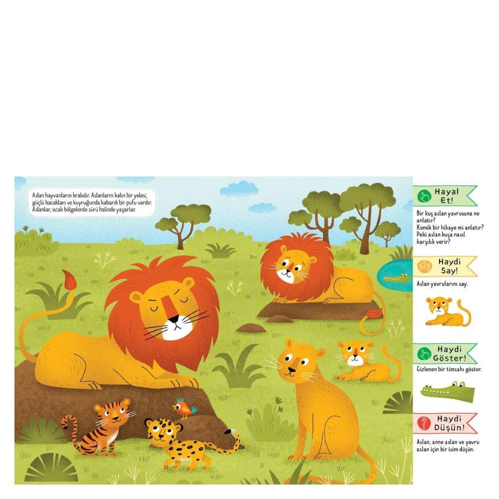 MERAKLI ÇOCUKLAR İÇİN HAYVANLAR Çocuk Kitapları Uzmanı - Children's Books Expert