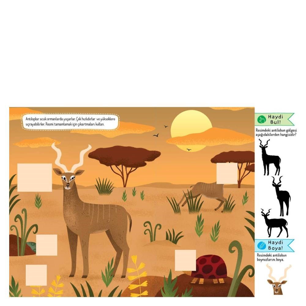 MERAKLI ÇOCUKLAR İÇİN HAYVANLAR Çocuk Kitapları Uzmanı - Children's Books Expert