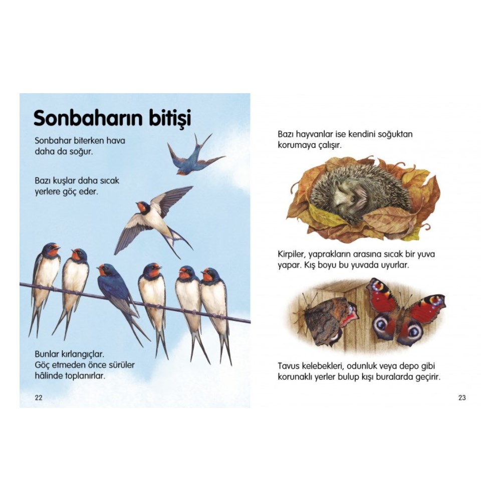 MEVSİMLER - İLK OKUMA Çocuk Kitapları Uzmanı - Children's Books Expert