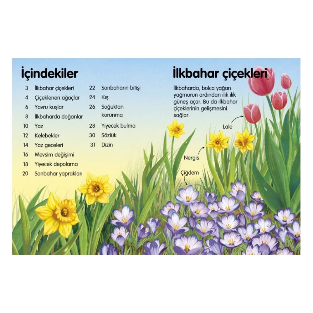 MEVSİMLER - İLK OKUMA Çocuk Kitapları Uzmanı - Children's Books Expert