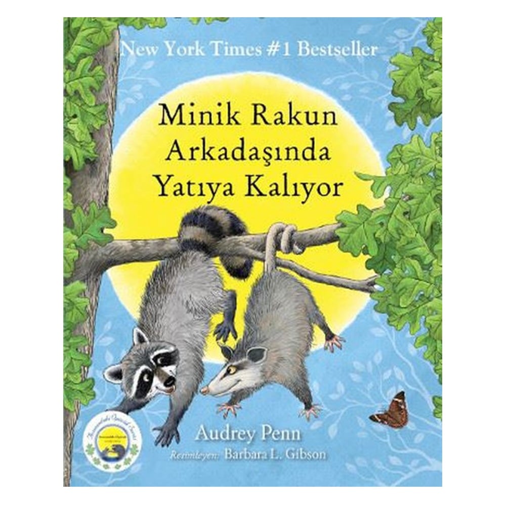 MİNİK RAKUN ARKADAŞINDA YATIYA KALIYOR