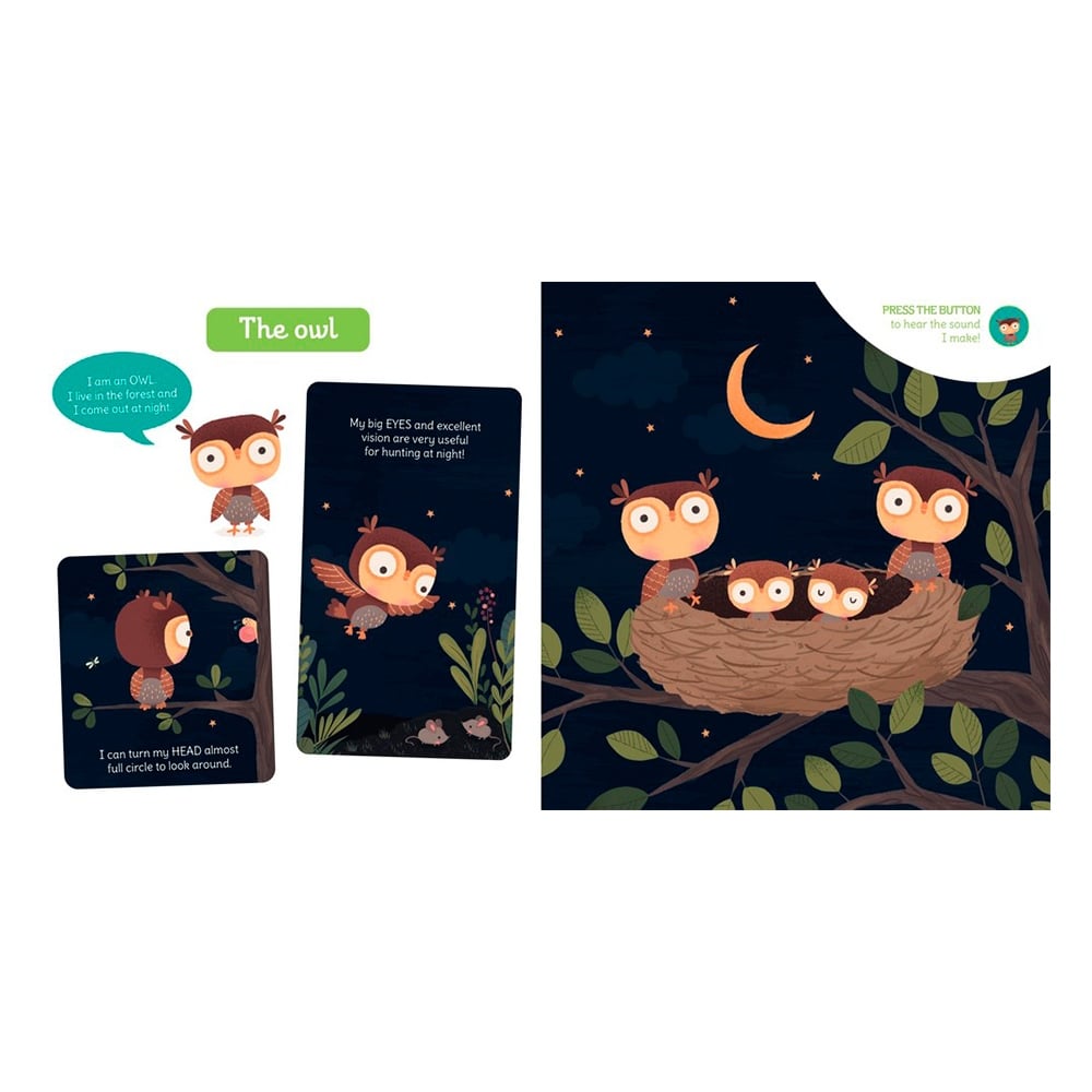 MY FIRST SOUND BOOK: NIGHT-TIME ANIMALS Çocuk Kitapları Uzmanı - Children's Books Expert