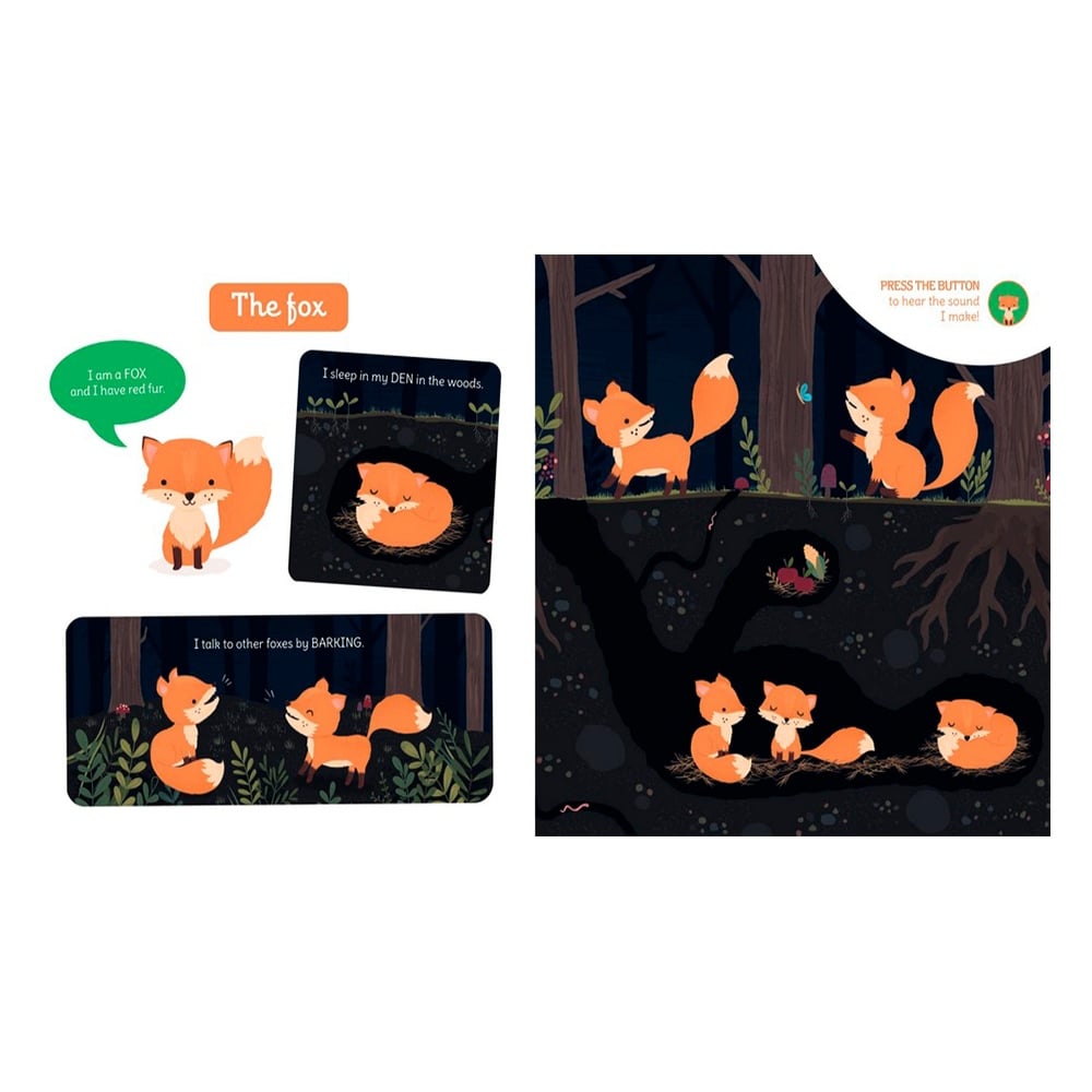 MY FIRST SOUND BOOK: NIGHT-TIME ANIMALS Çocuk Kitapları Uzmanı - Children's Books Expert