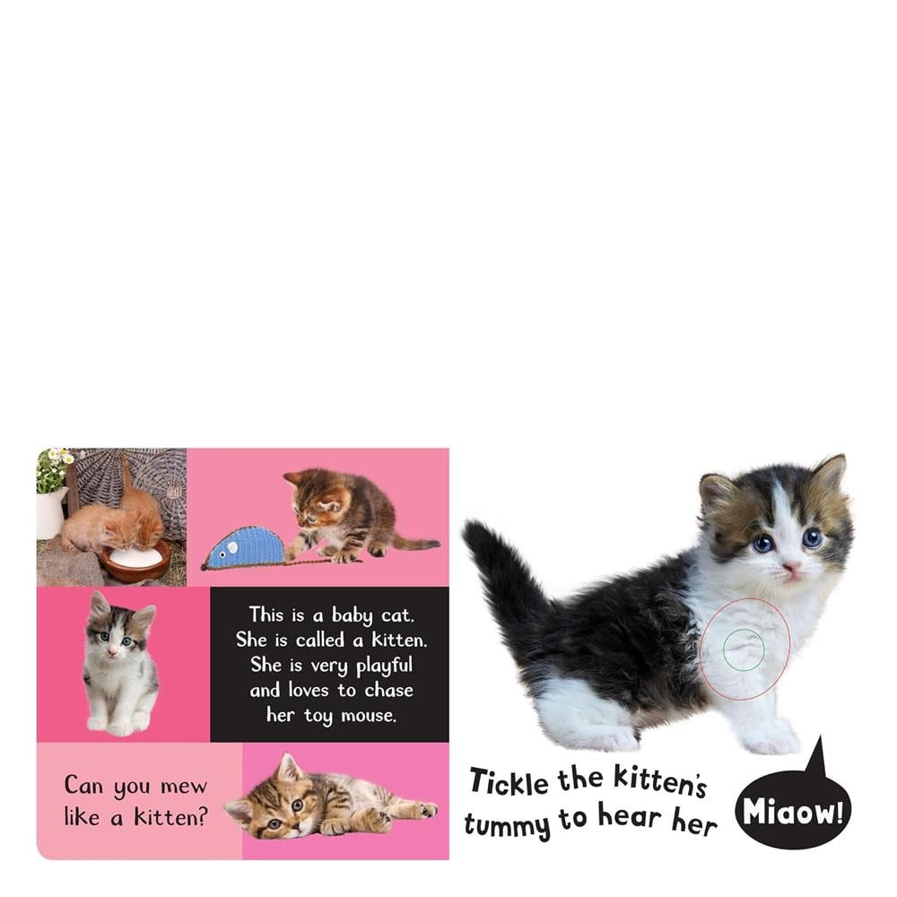 My FirstTouch And Feel Sound Book NoisyBaby Animal Çocuk Kitapları Uzmanı - Children's Books Expert