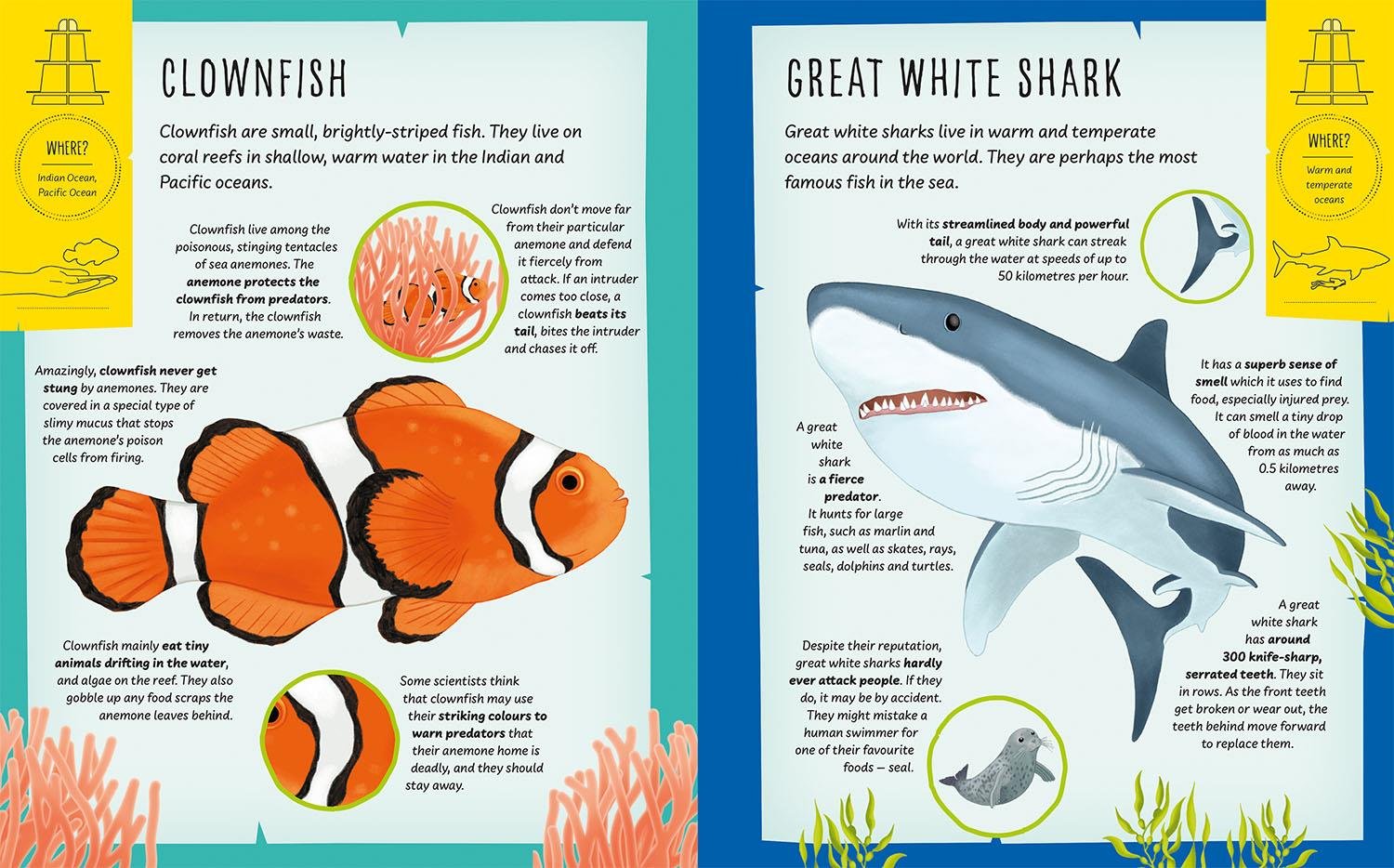 My Incredible Ocean Expedition Çocuk Kitapları Uzmanı - Children's Books Expert