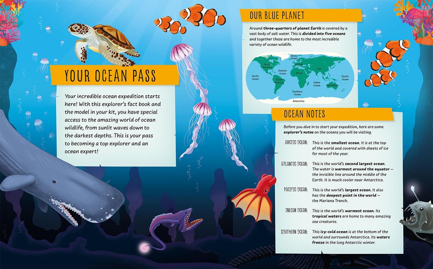 My Incredible Ocean Expedition Çocuk Kitapları Uzmanı - Children's Books Expert