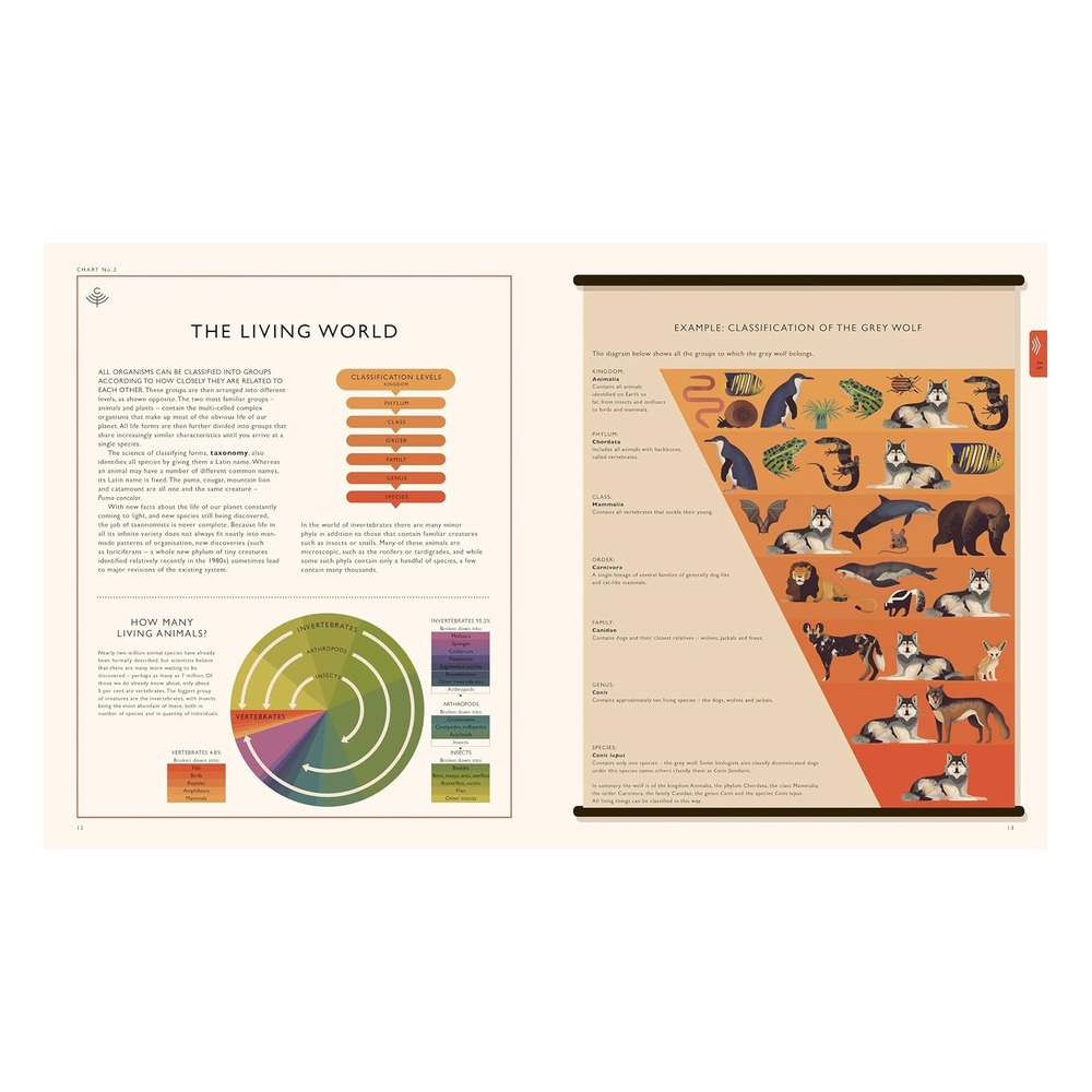 Natural World-A Visual Compendium of Wonders from Çocuk Kitapları Uzmanı - Children's Books Expert