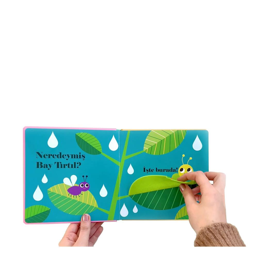 Neredeymiş Bayan Uğur Böceği (Dokun, Hisset, Ayna Çocuk Kitapları Uzmanı - Children's Books Expert