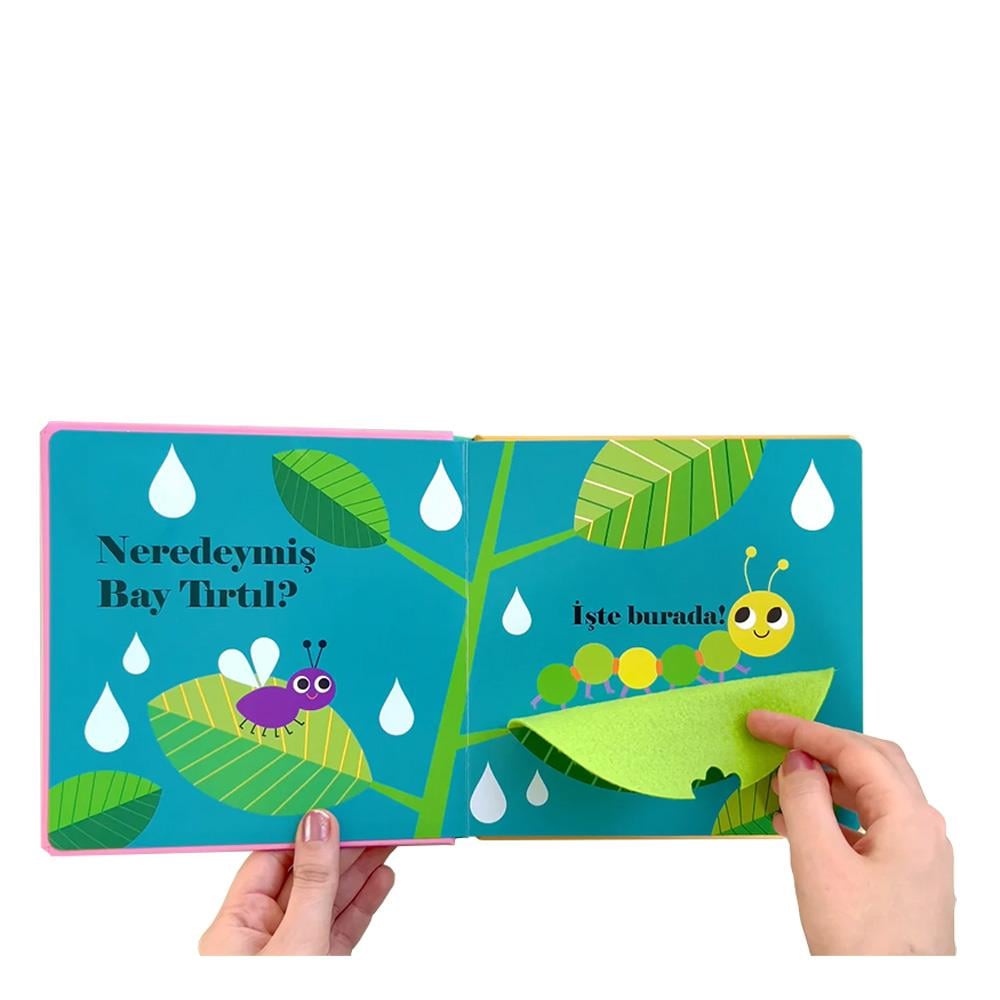 Neredeymiş Bayan Uğur Böceği (Dokun, Hisset, Ayna Çocuk Kitapları Uzmanı - Children's Books Expert