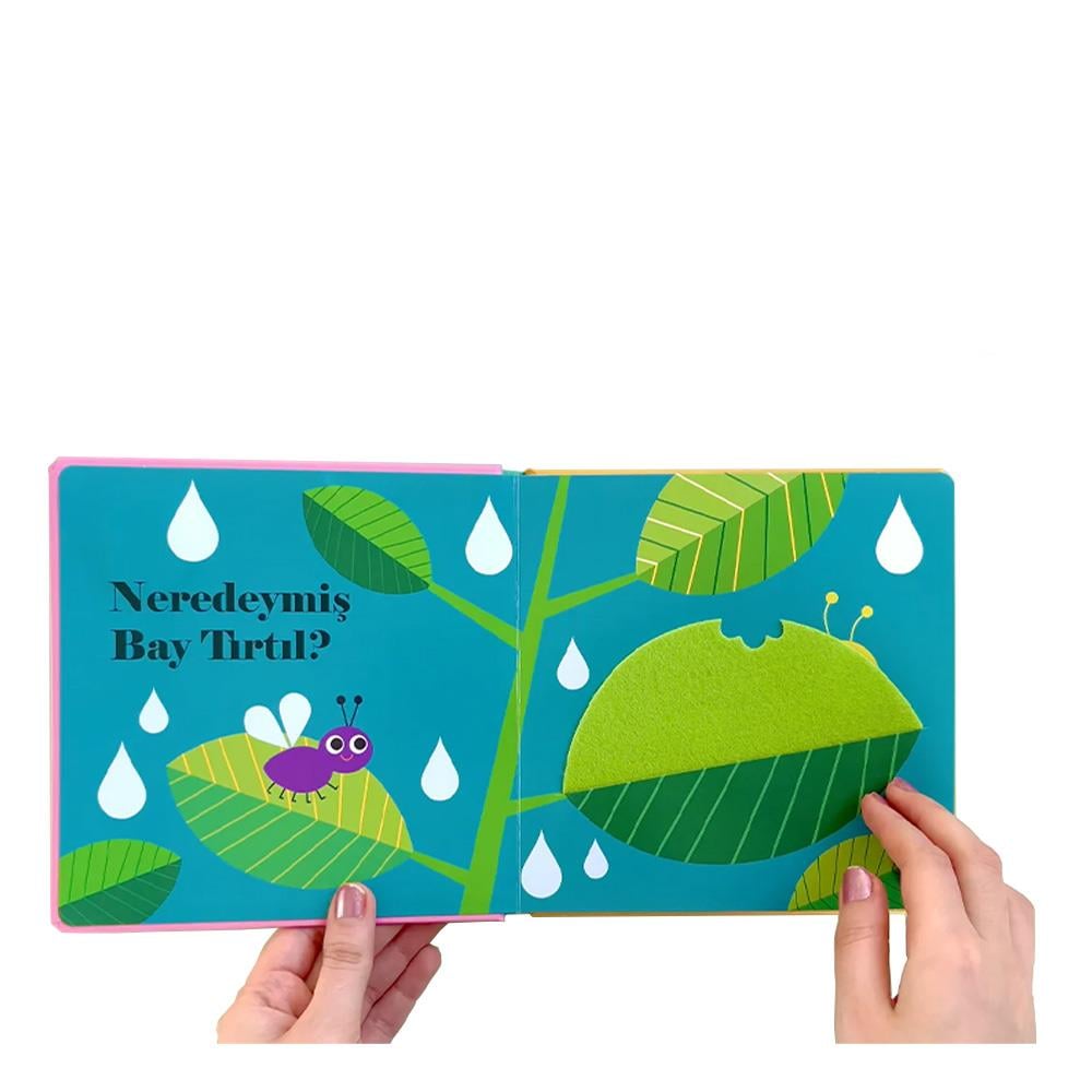 Neredeymiş Bayan Uğur Böceği (Dokun, Hisset, Ayna Çocuk Kitapları Uzmanı - Children's Books Expert