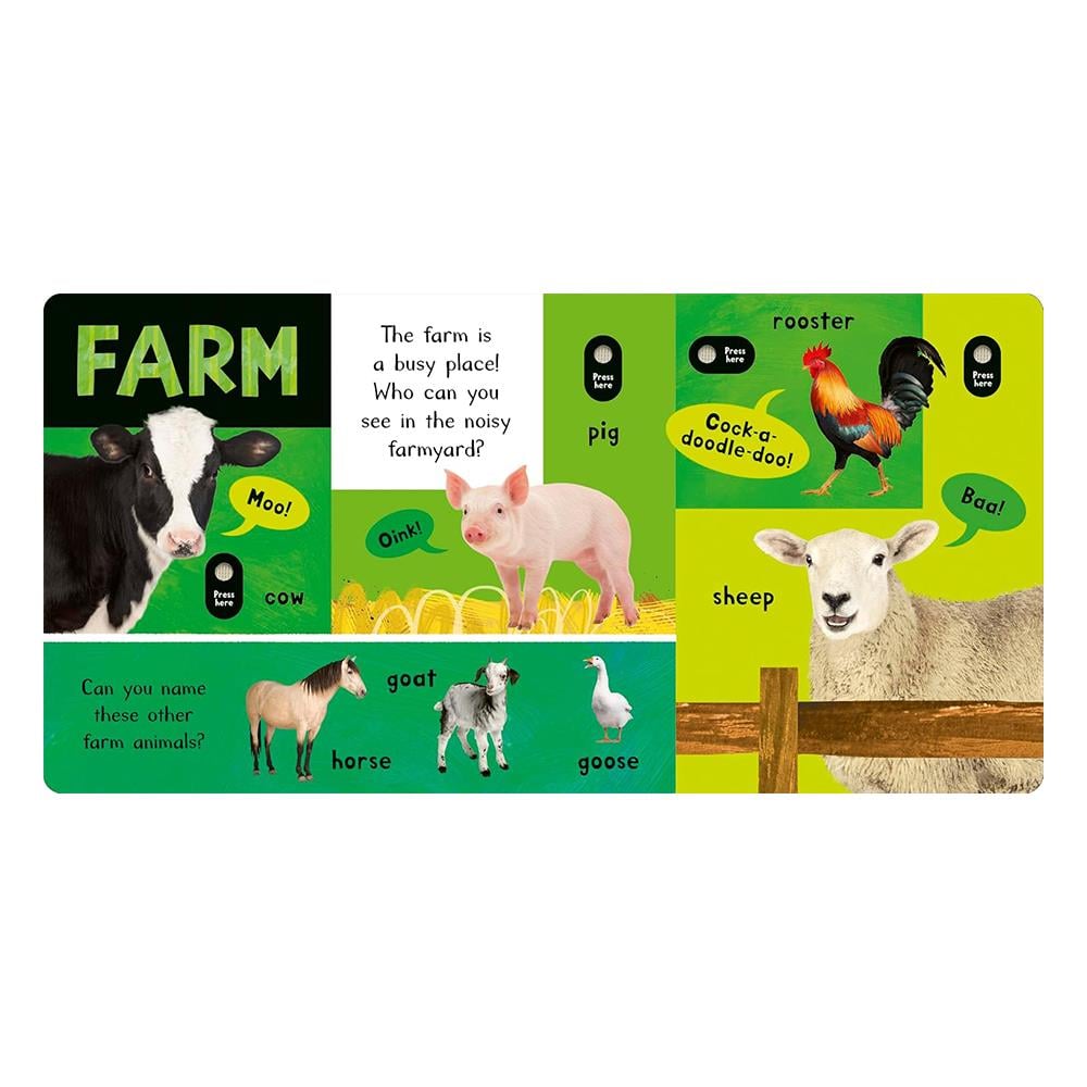 Noisy Animal World Çocuk Kitapları Uzmanı - Children's Books Expert