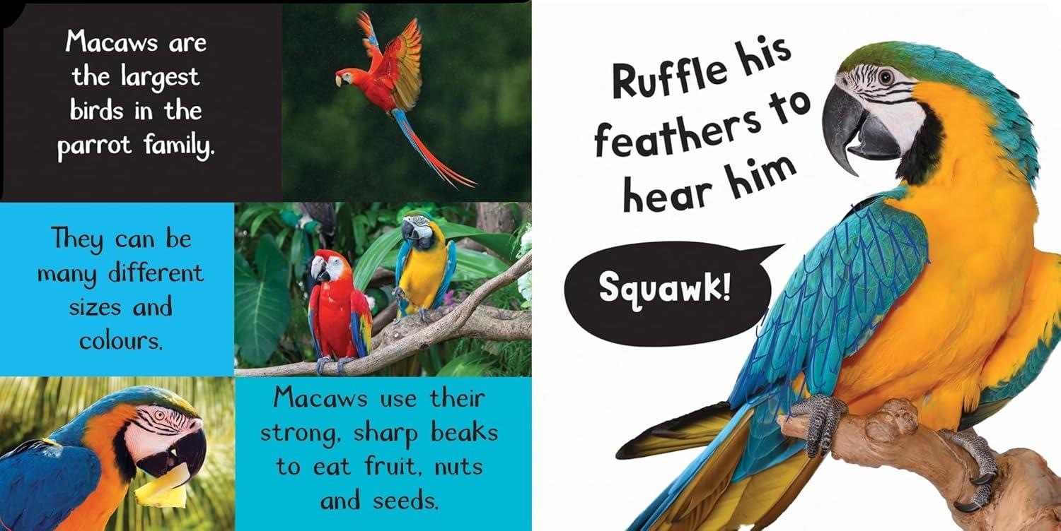 Noisy Jungle Çocuk Kitapları Uzmanı - Children's Books Expert