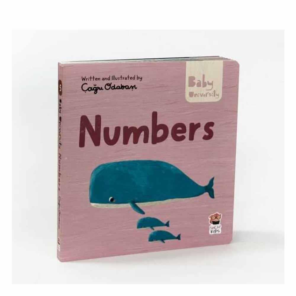 Numbers - Baby Unıversıty Fırst Concept Storıes 2 Çocuk Kitapları Uzmanı - Children's Books Expert