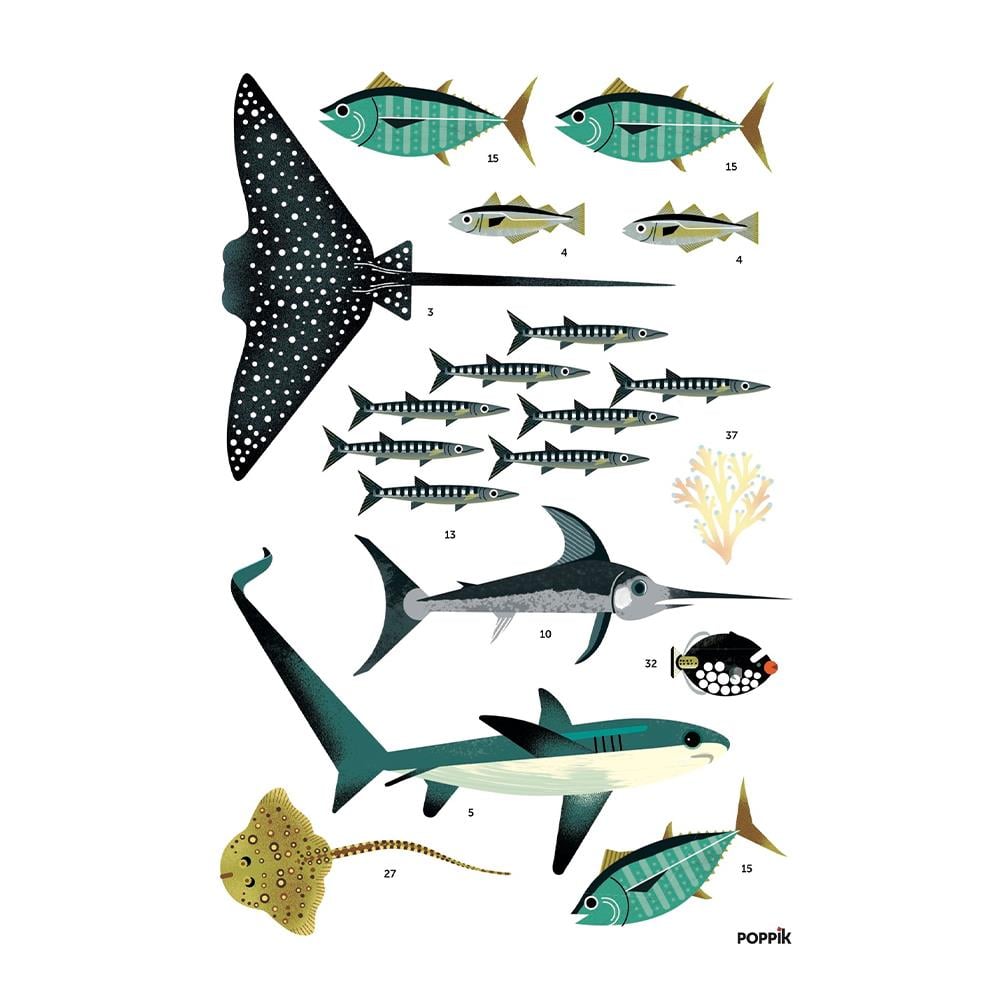 OCEANS - DISCOVERY POSTER Çocuk Kitapları Uzmanı - Children's Books Expert
