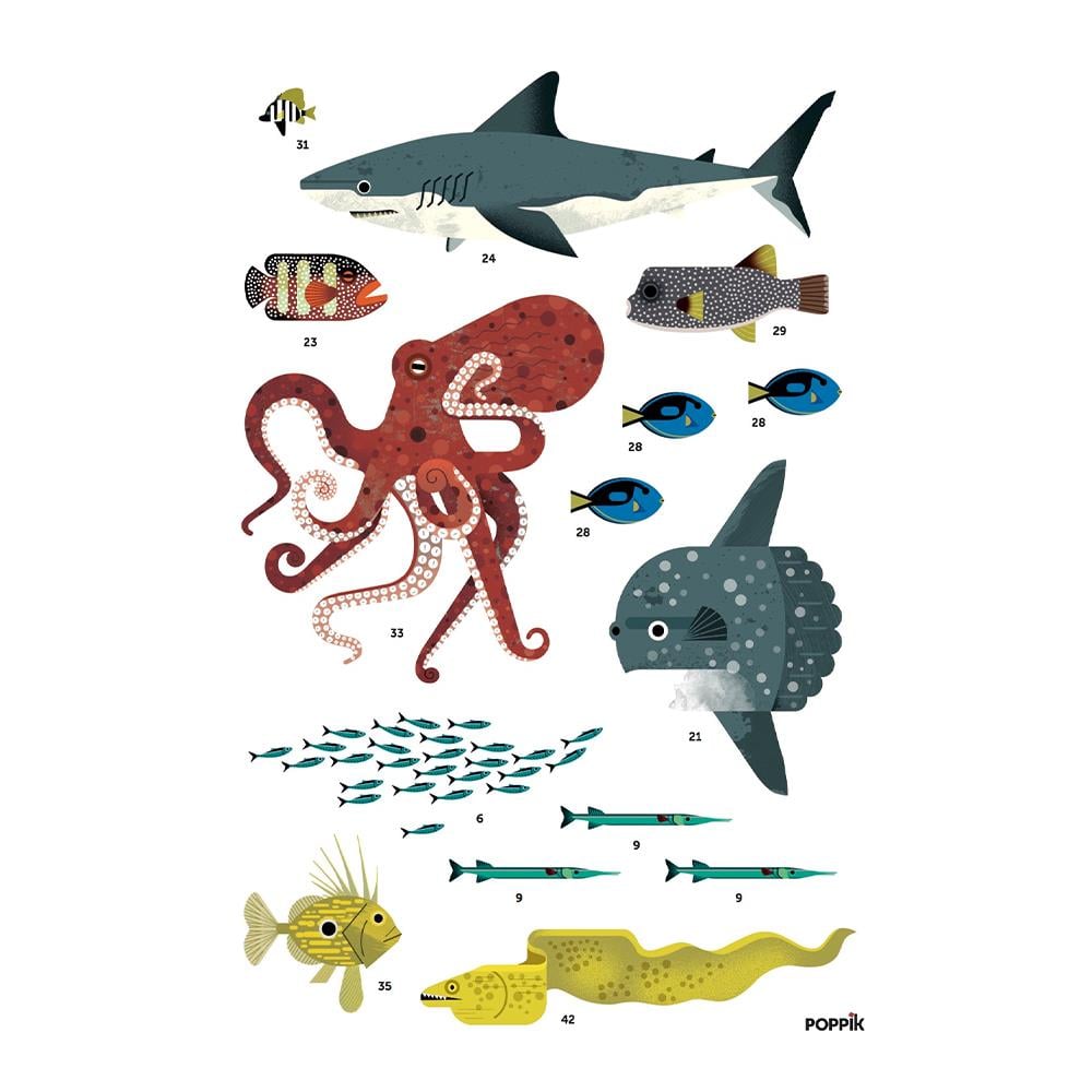 OCEANS - DISCOVERY POSTER Çocuk Kitapları Uzmanı - Children's Books Expert