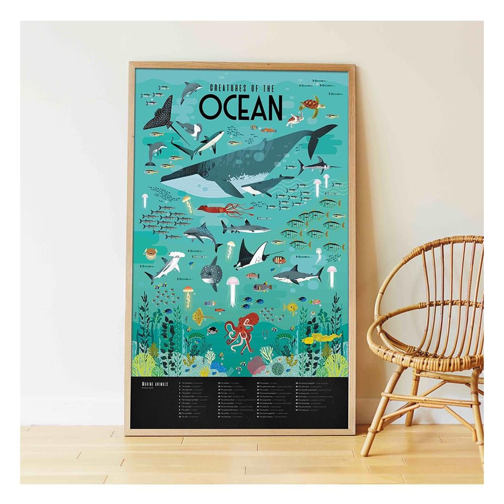 OCEANS - DISCOVERY POSTER Çocuk Kitapları Uzmanı - Children's Books Expert
