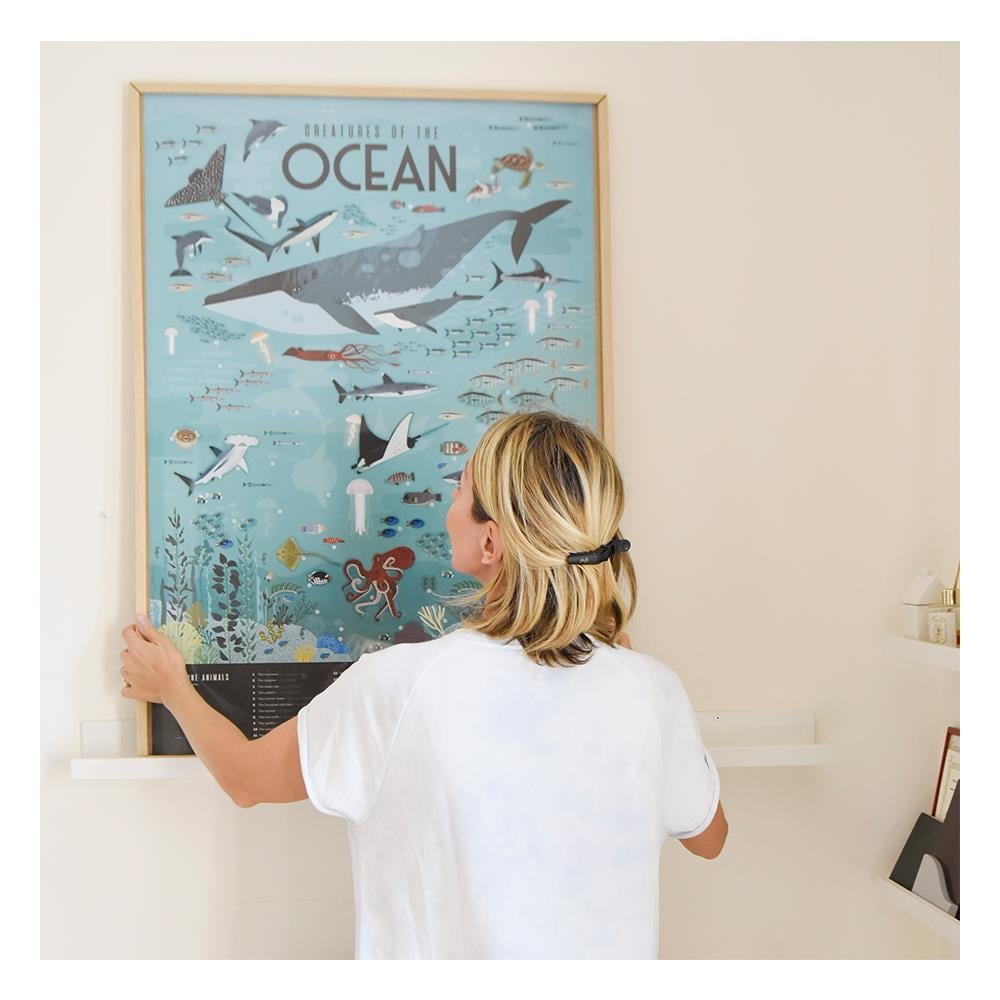 OCEANS - DISCOVERY POSTER Çocuk Kitapları Uzmanı - Children's Books Expert