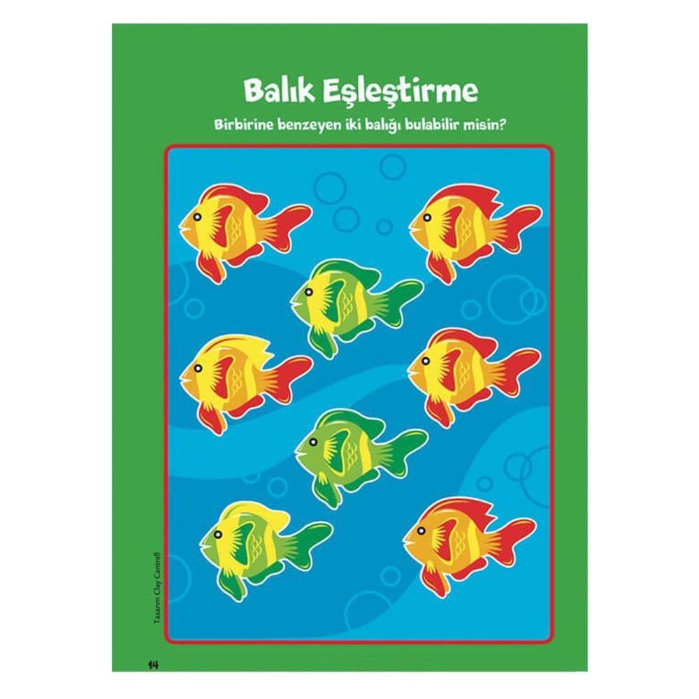 ON THE GO SERİSİ Çocuk Kitapları Uzmanı - Children's Books Expert