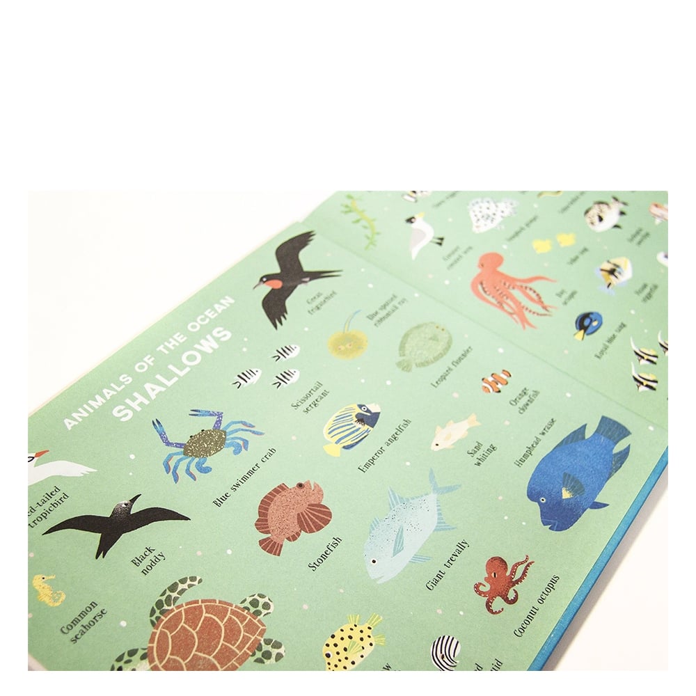 ONE DAY ON OUR BLUE PLANET… IN THE OCEAN Çocuk Kitapları Uzmanı - Children's Books Expert