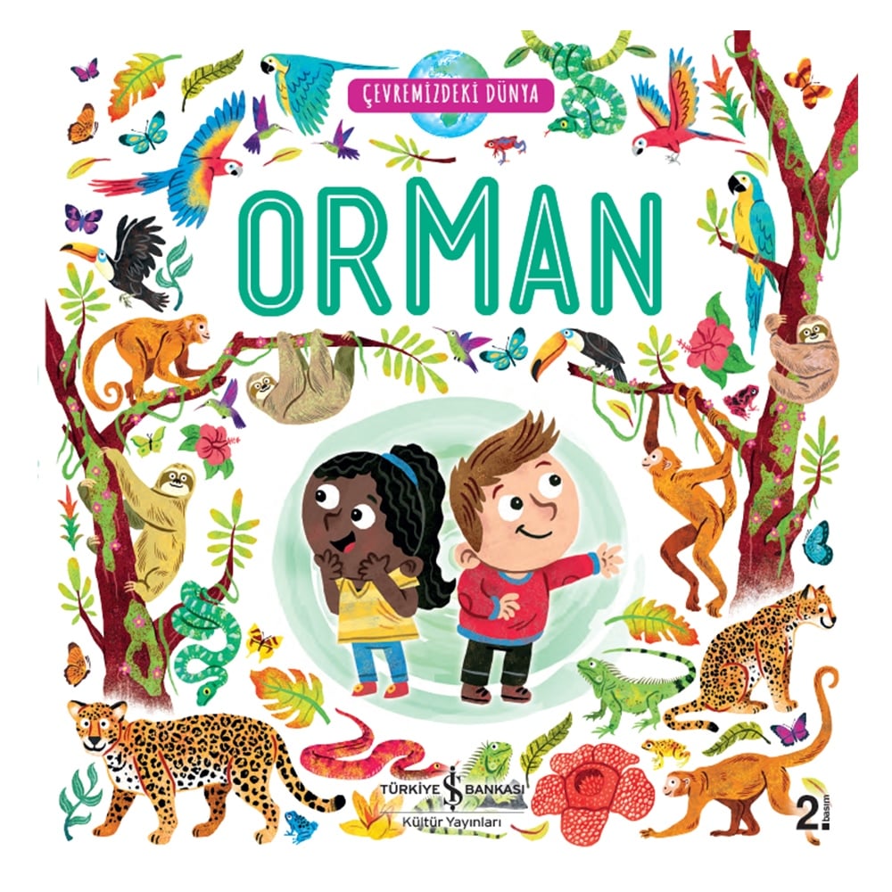 ORMAN - ÇEVREMİZDEKİ DÜNYA