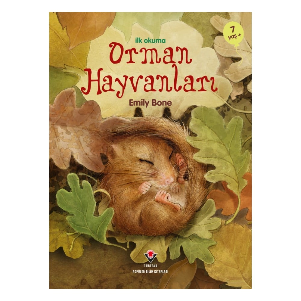 ORMAN HAYVANLARI - İLK OKUMA Çocuk Kitapları Uzmanı - Children's Books Expert