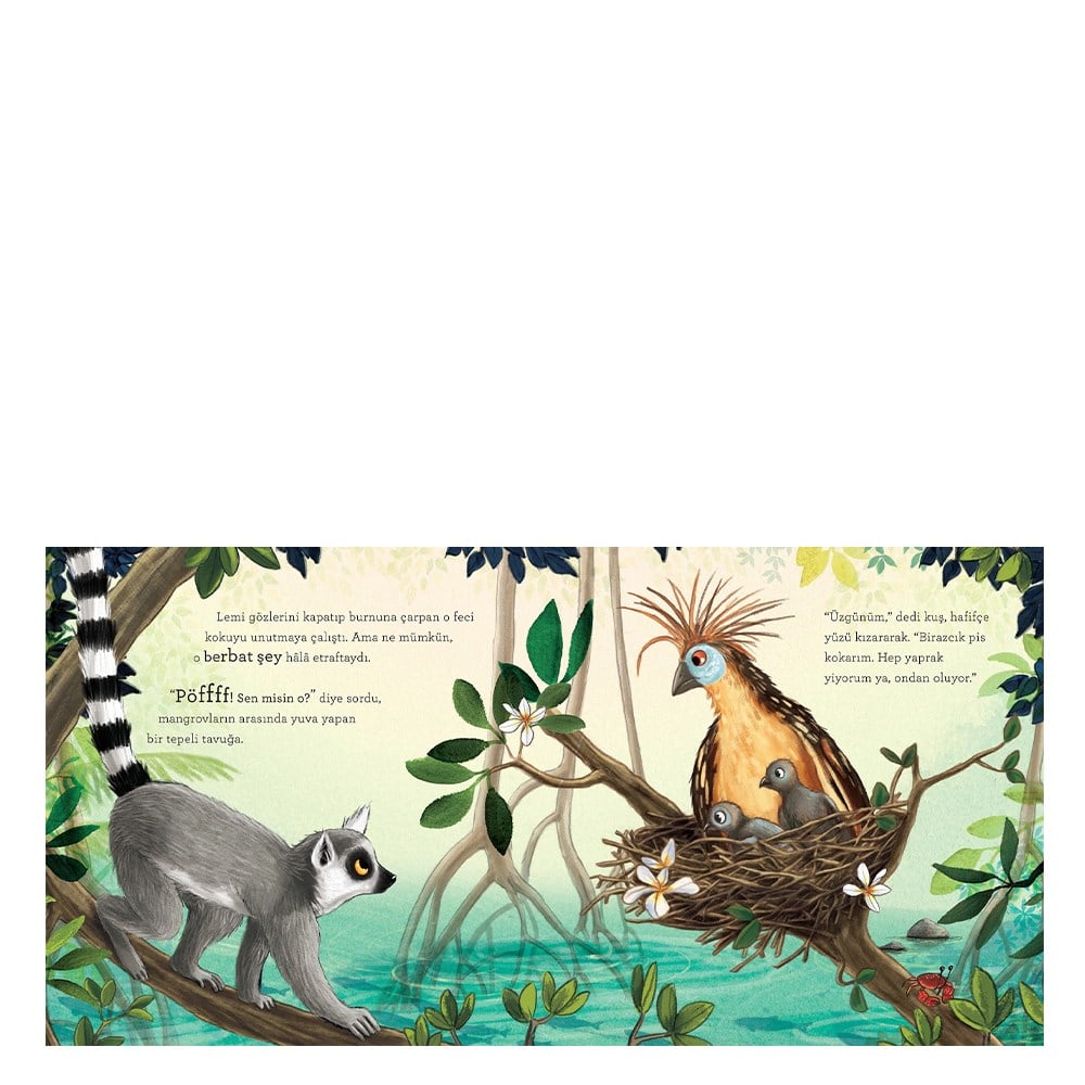 ORMANI KİM KOKUTTU? Çocuk Kitapları Uzmanı - Children's Books Expert