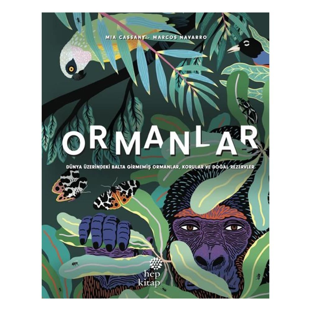 Ormanlar - Dünya Üzerindeki Balta Girmemiş Ormanla Çocuk Kitapları Uzmanı - Children's Books Expert