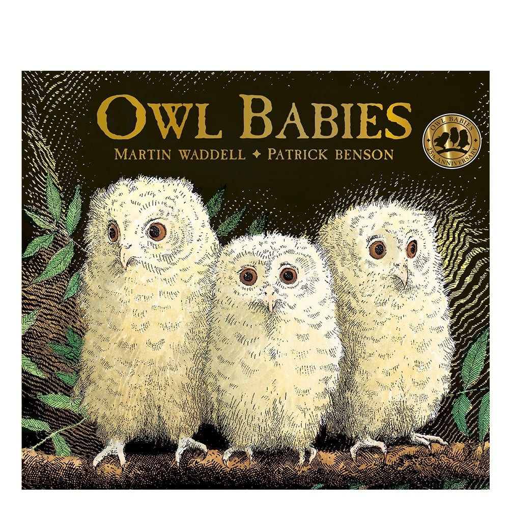 OWL BABIES #yenigelenler Çocuk Kitapları Uzmanı - Children's Books Expert