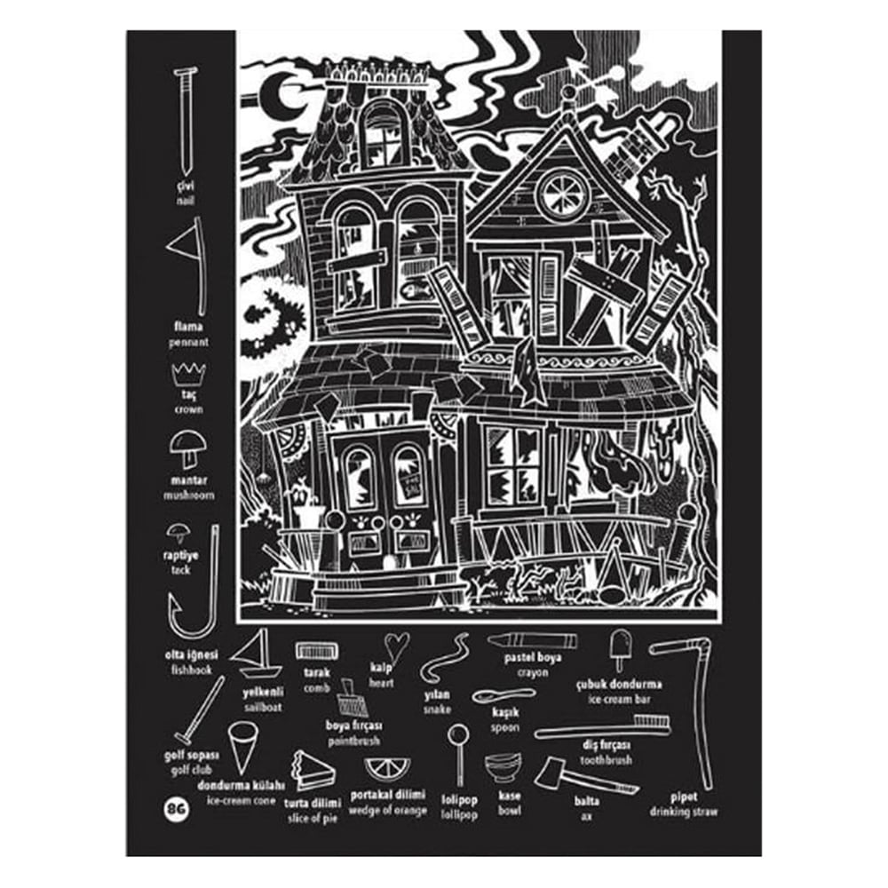 PARLAYAN HIDDEN PICTURES Çocuk Kitapları Uzmanı - Children's Books Expert