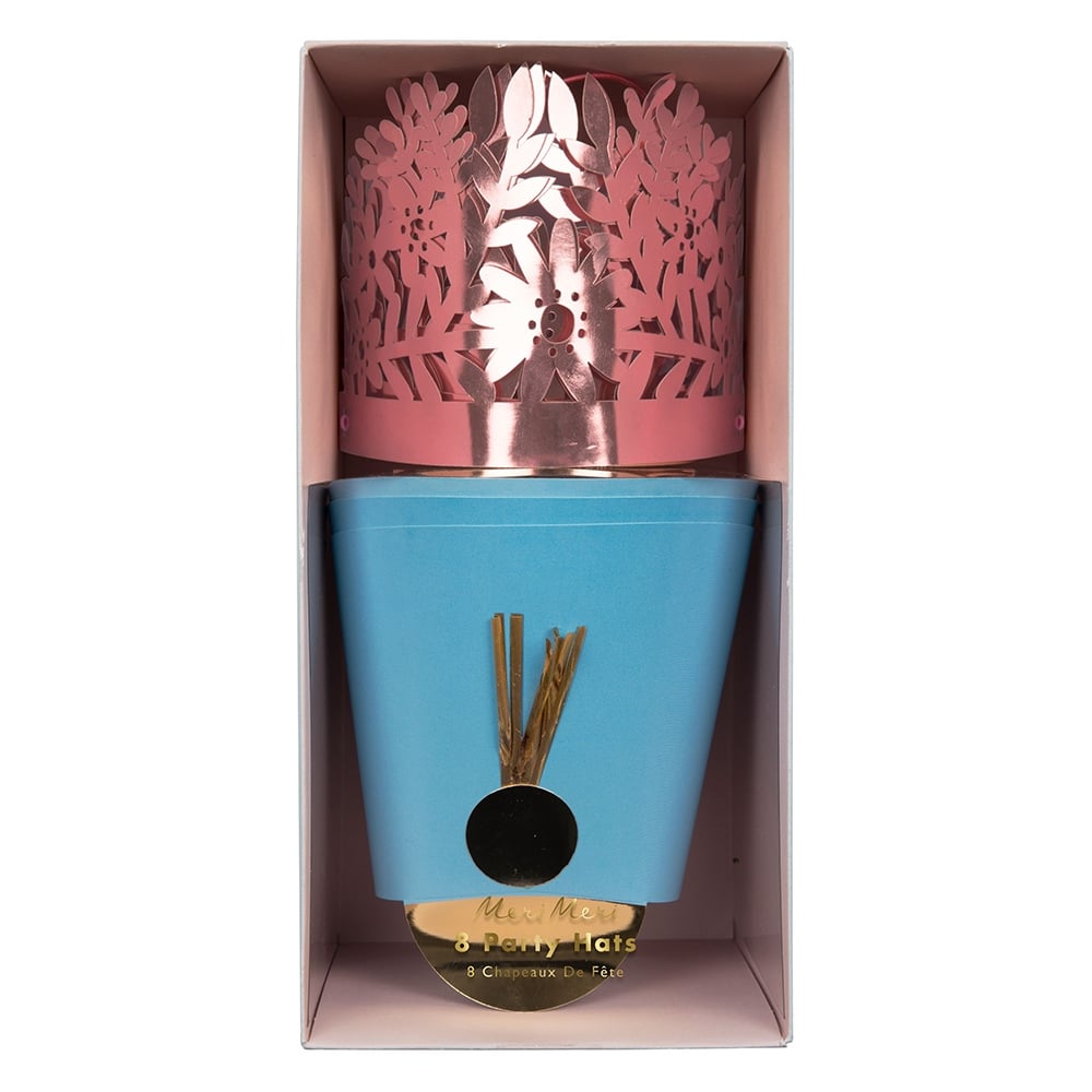 PARTİ ŞAPKALARI Çocuk Kitapları Uzmanı - Children's Books Expert