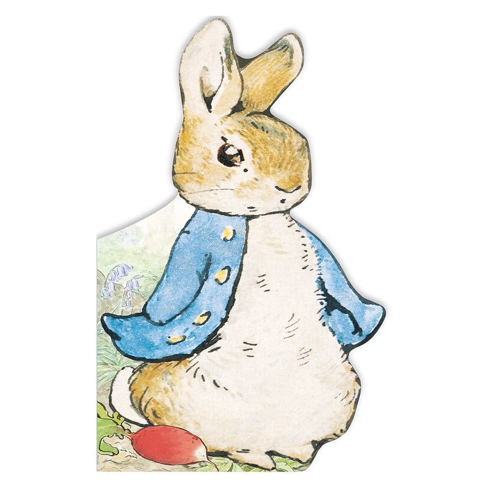 PETER RABBIT - ALL ABOUT PETER Çocuk Kitapları Uzmanı - Children's Books Expert