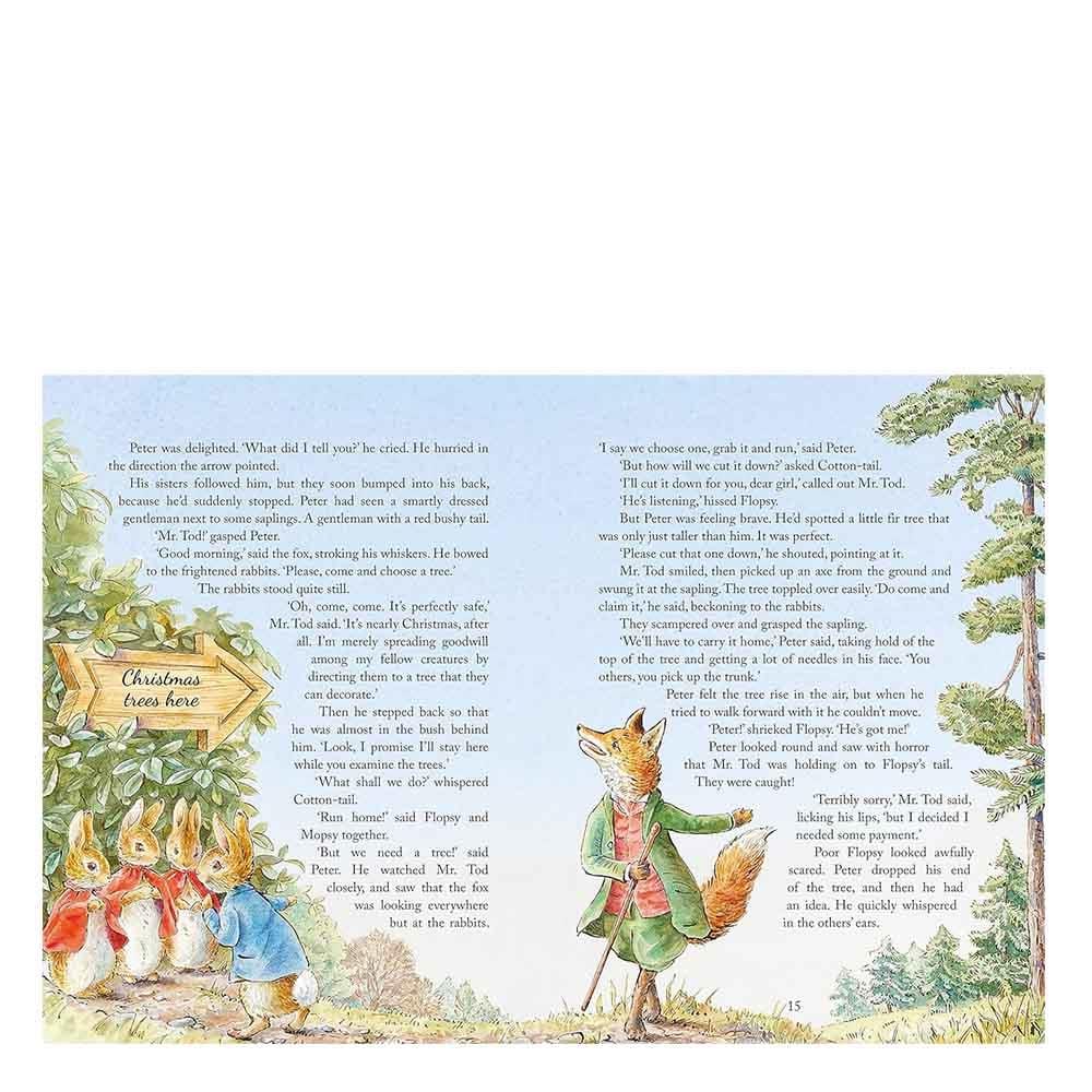 Peter Rabbit - Christmas is Coming Çocuk Kitapları Uzmanı - Children's Books Expert