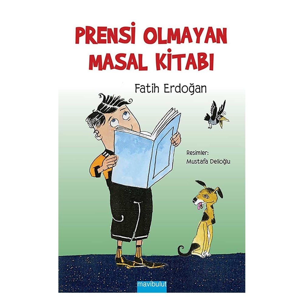 PRENSİ OLMAYAN MASAL KİTABI