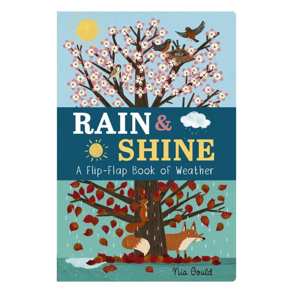 Rain and Shine - A Flip-Flap Book of Weather Çocuk Kitapları Uzmanı - Children's Books Expert