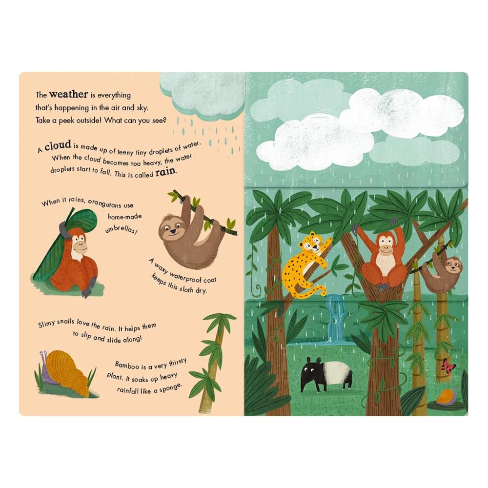 Rain and Shine - A Flip-Flap Book of Weather Çocuk Kitapları Uzmanı - Children's Books Expert