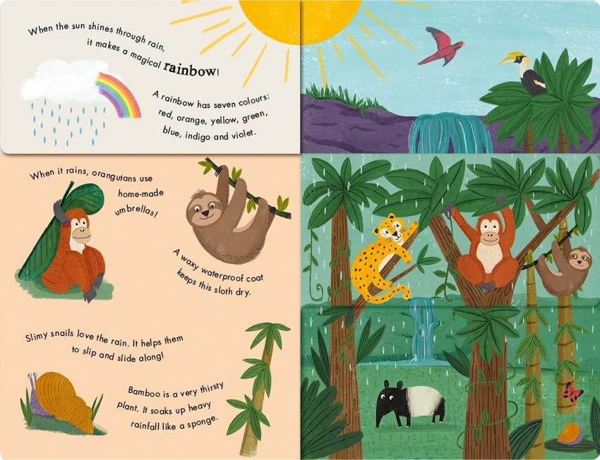 Rain and Shine - A Flip-Flap Book of Weather Çocuk Kitapları Uzmanı - Children's Books Expert