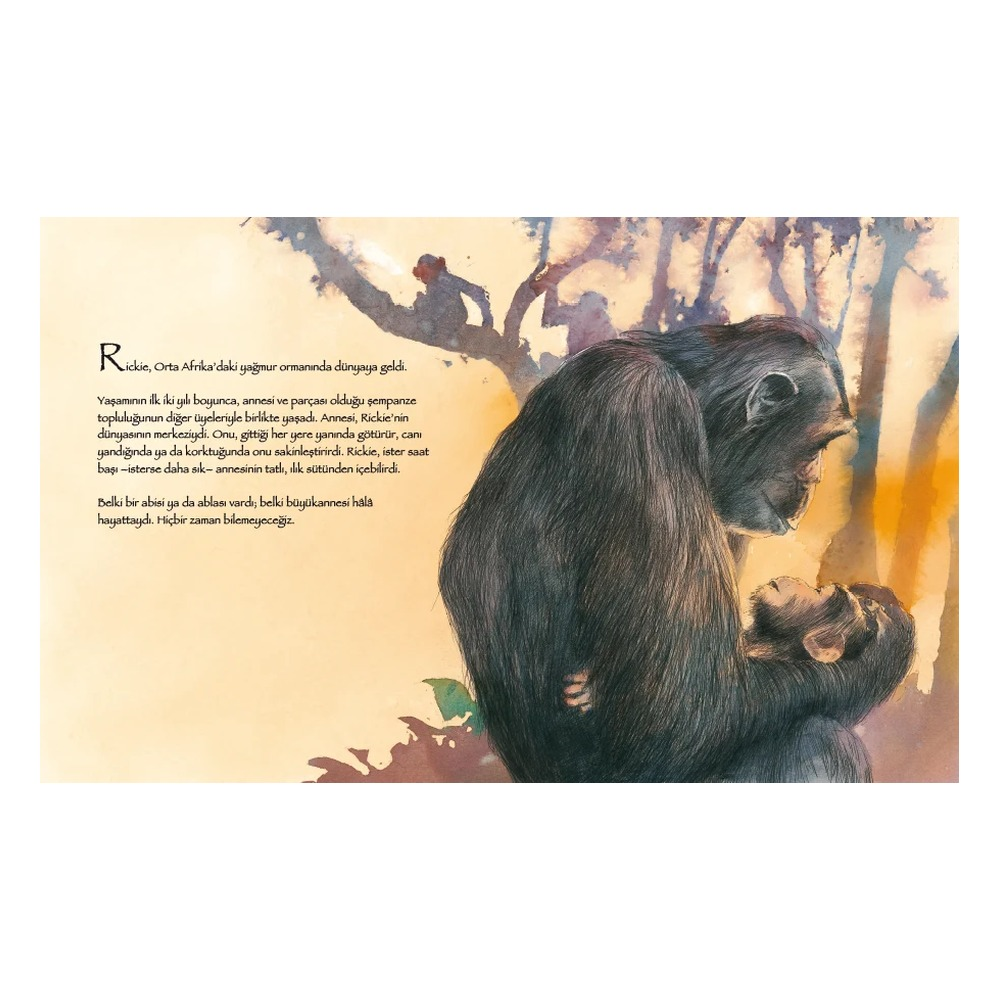 Rickie Ve Henri Çocuk Kitapları Uzmanı - Children's Books Expert