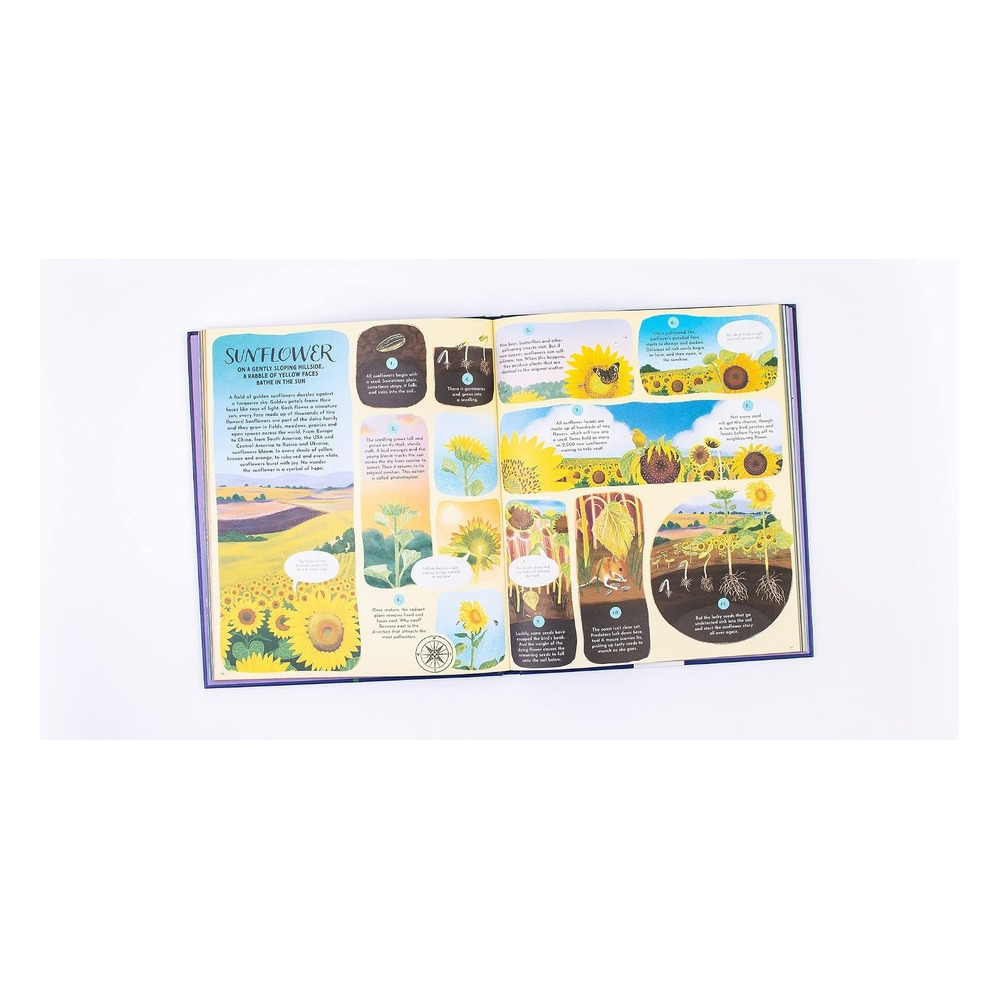 Round and Round Goes Mother Nature Çocuk Kitapları Uzmanı - Children's Books Expert