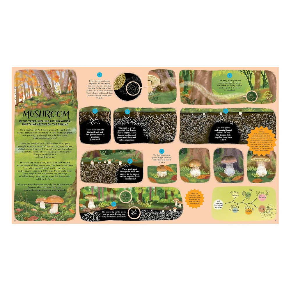 Round and Round Goes Mother Nature Çocuk Kitapları Uzmanı - Children's Books Expert
