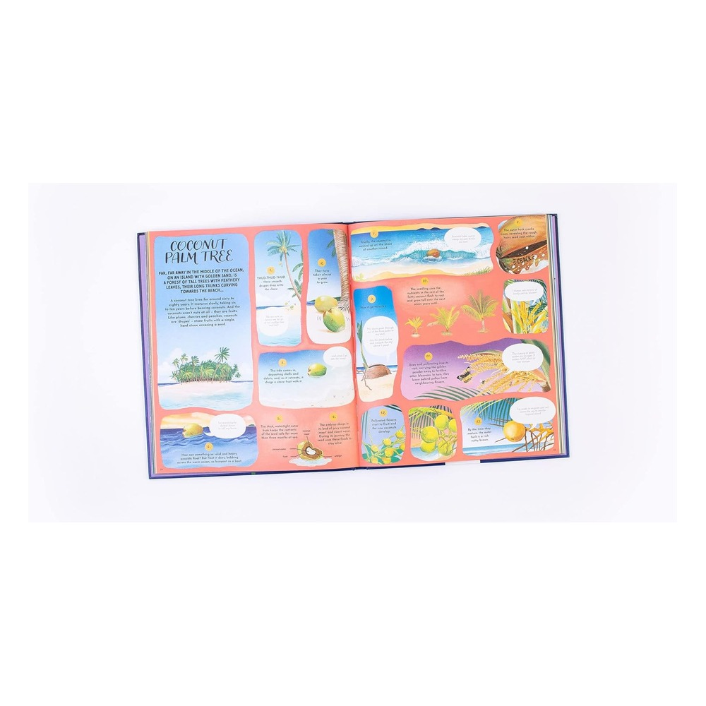 Round and Round Goes Mother Nature Çocuk Kitapları Uzmanı - Children's Books Expert