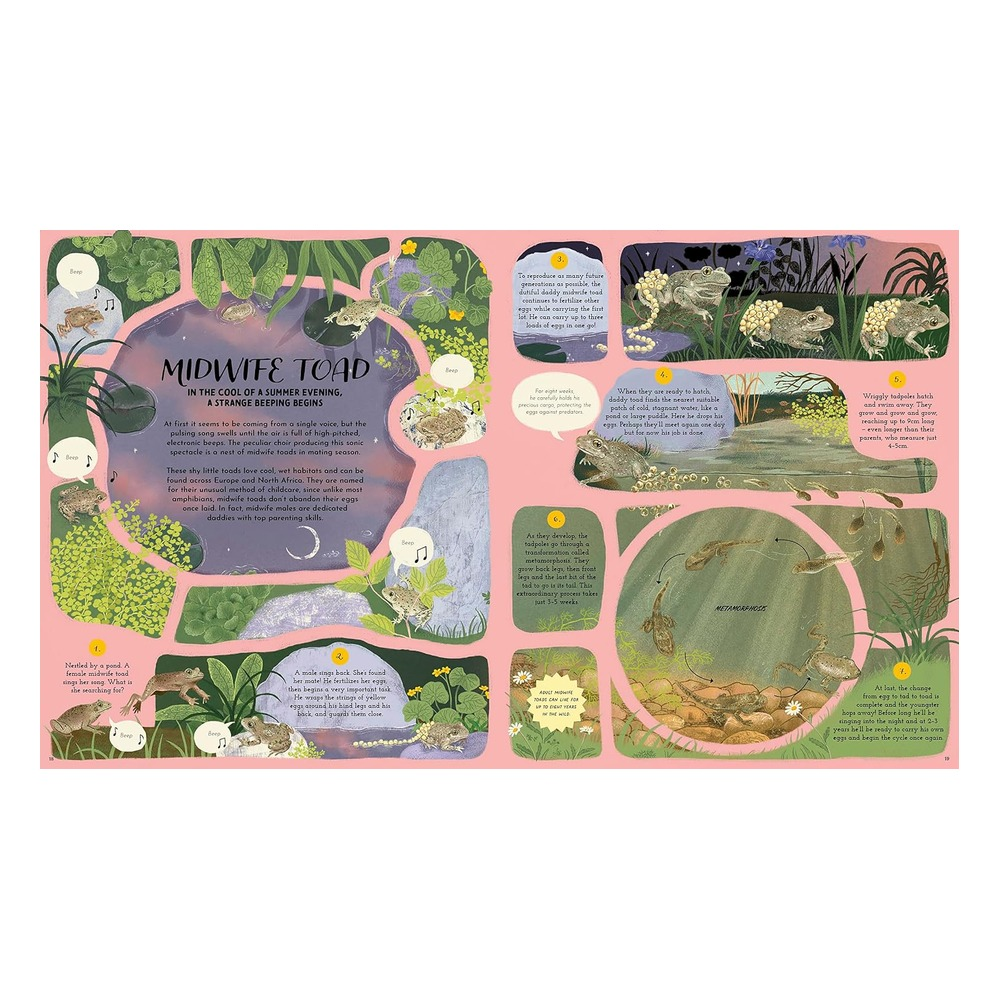 Round and Round Goes Mother Nature Çocuk Kitapları Uzmanı - Children's Books Expert