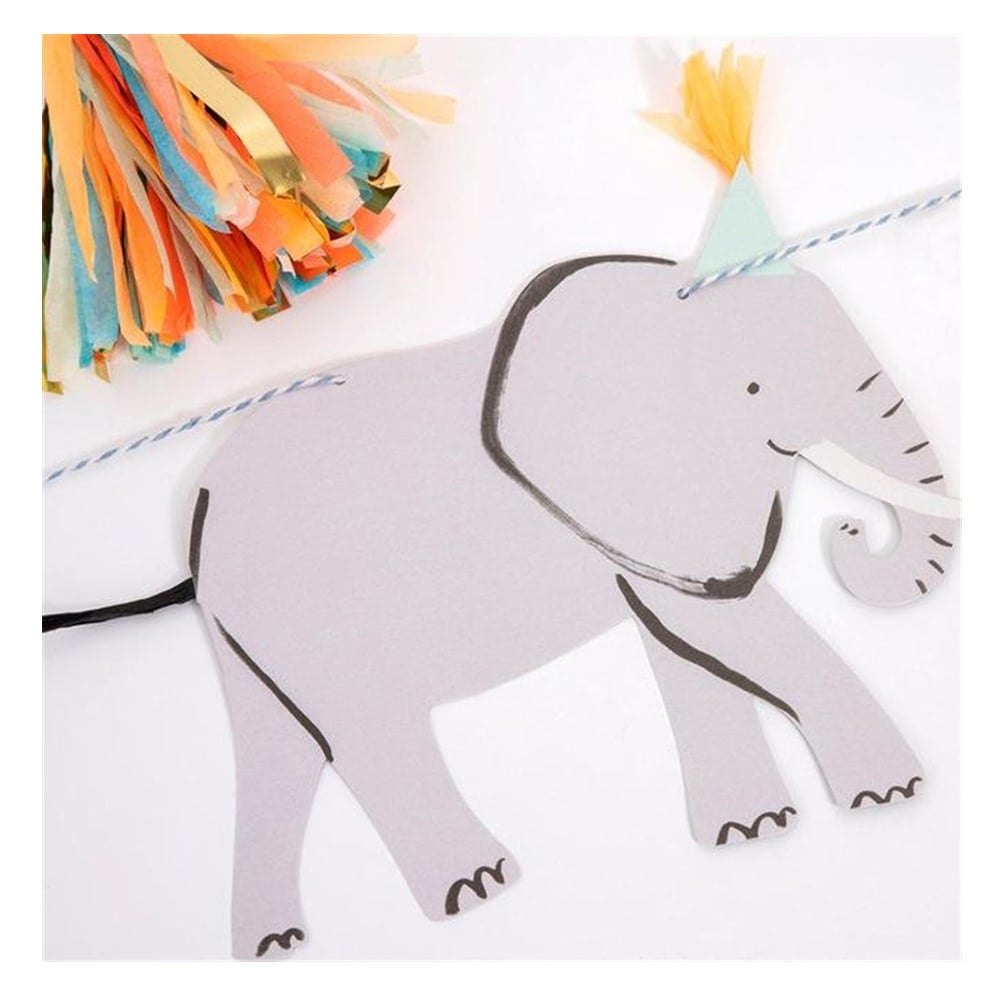 SAFARİ ASILAN SÜS Çocuk Kitapları Uzmanı - Children's Books Expert