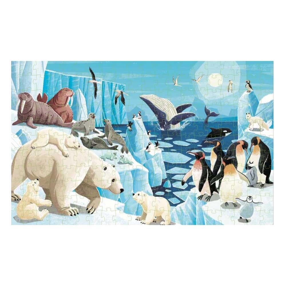 Save The Planet - The Poles Çocuk Kitapları Uzmanı - Children's Books Expert