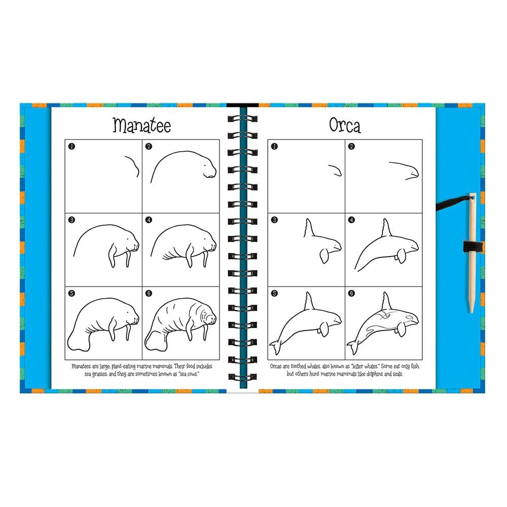 Scratch And Draw - Ocean Animals Çocuk Kitapları Uzmanı - Children's Books Expert